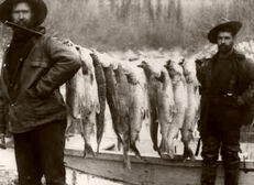   Alaska. Morning Catch. 1890