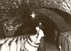 France The Aging cellar 1920