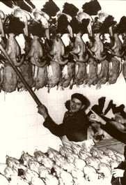 France Poultry Shop 1930