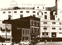 Briggs Stadium The Old Ball Park 1948