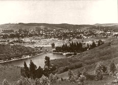  Los Angeles Cityscape 1894