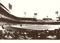  Briggs Stadium Box Seats 1955