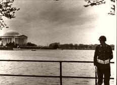 The Jefferson Memorial